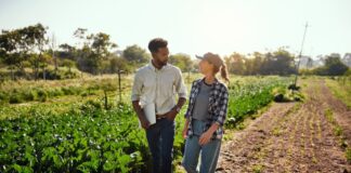 A man carrying a laptop talks to a smiling female farmer as they walk along a row of crops on a sunny day.