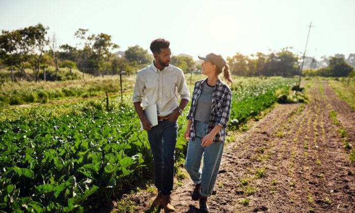 A man carrying a laptop talks to a smiling female farmer as they walk along a row of crops on a sunny day.